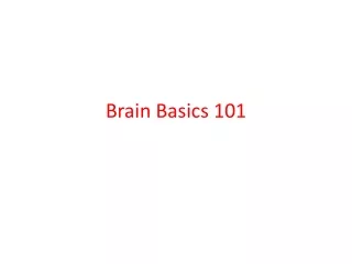 Brain Basics 101