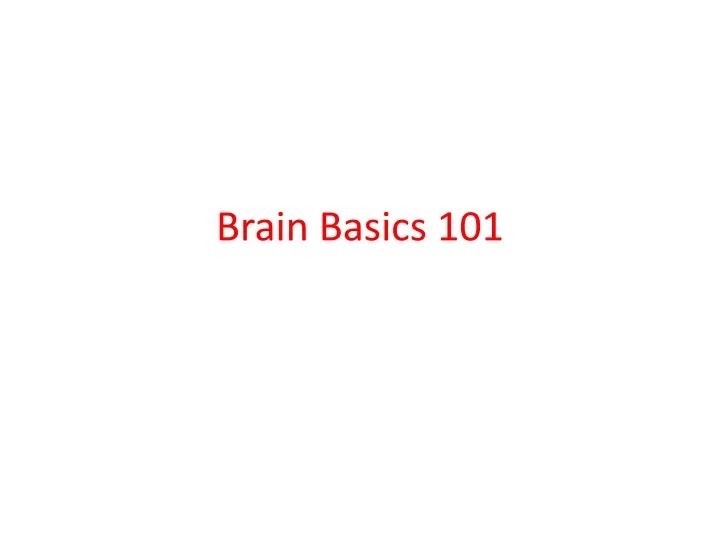 brain basics 101