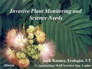 Invasive Plant Monitoring and Science Needs