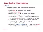 PPT - JAVA BASICS PowerPoint Presentation, free download - ID:3061898