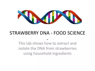 STRAWBERRY DNA - FOOD SCIENCE -