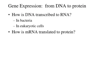 Gene Expression:  from DNA to protein