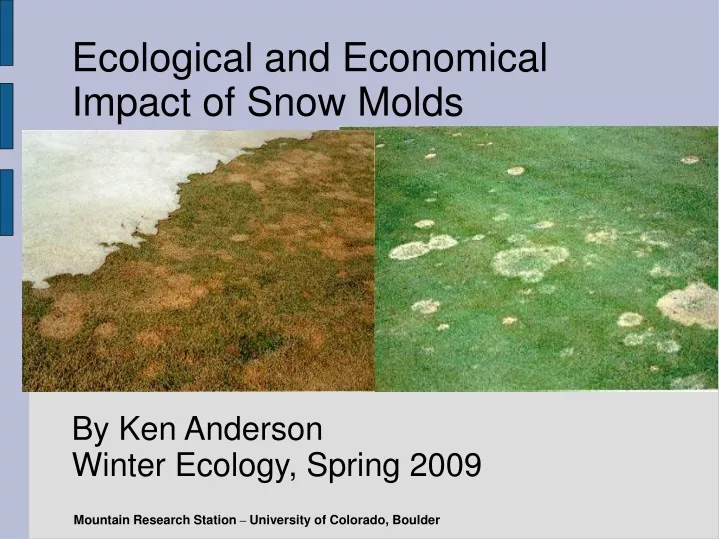 ecological and economical impact of snow molds