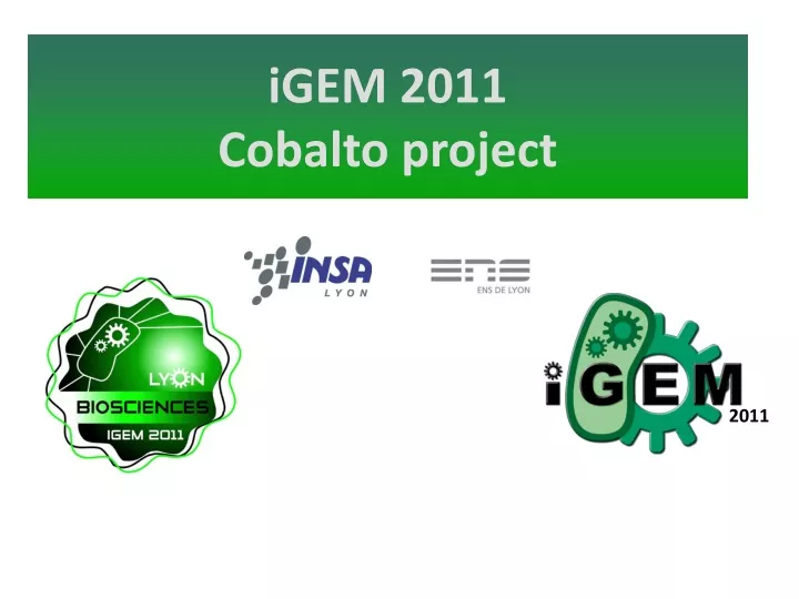 igem 2011 cobalto project