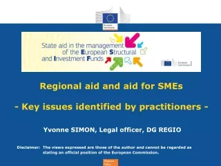 Regional aid and aid for SMEs - Key issues identified by practitioners -