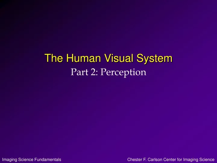 the human visual system
