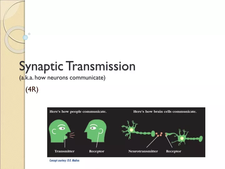 synaptic transmission a k a how neurons communicate