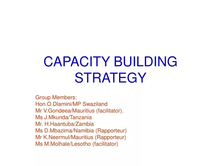 capacity building strategy