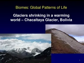 Biomes: Global Patterns of Life