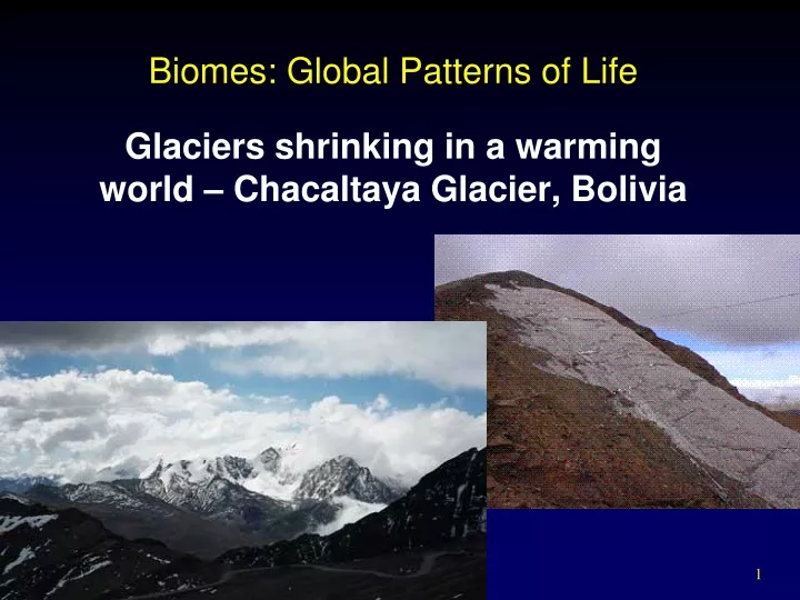 biomes global patterns of life