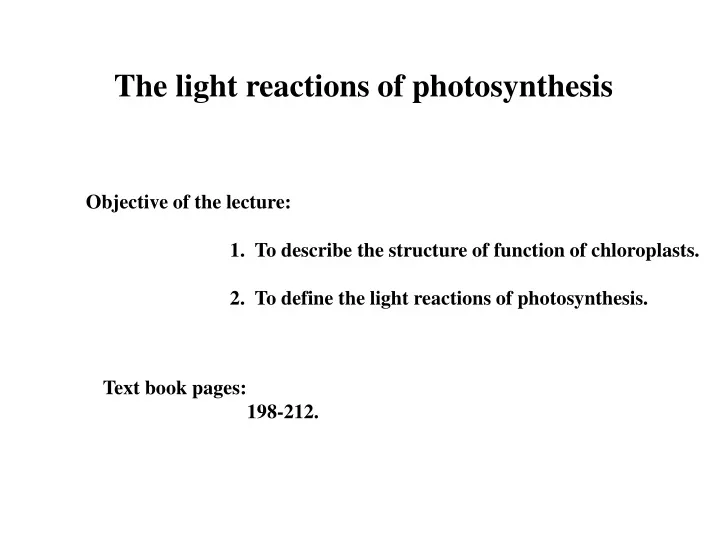 the light reactions of photosynthesis