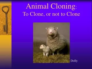 Animal Cloning : To Clone, or not to Clone
