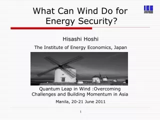 What Can Wind Do for  Energy Security?