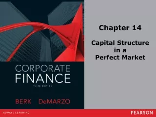 Chapter 14 Capital Structure  in a  Perfect Market
