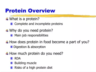 Protein Overview