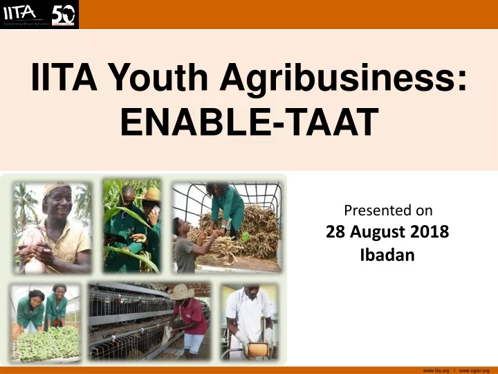 iita youth agribusiness enable taat