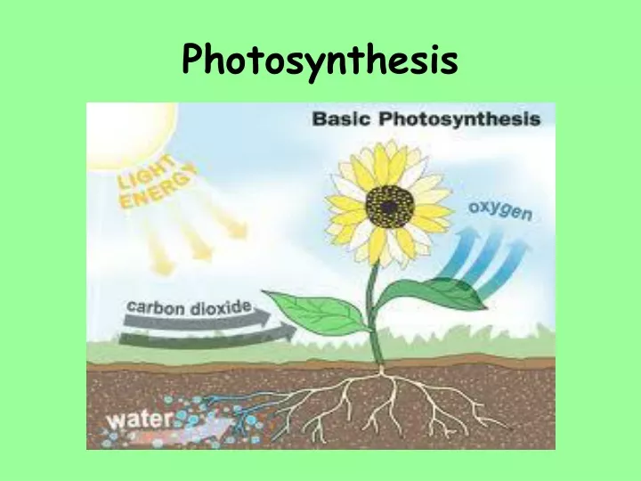 photosynthesis