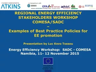 Energy Efficiency Workshop:  SADC - COMESA  Namibia, 11- 12 November 2015