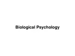 Understanding the Brain and Neurons: Biological Psychology Overview - slide 1