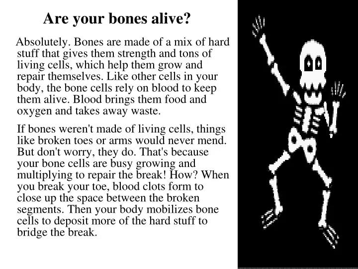 are your bones alive absolutely bones are made