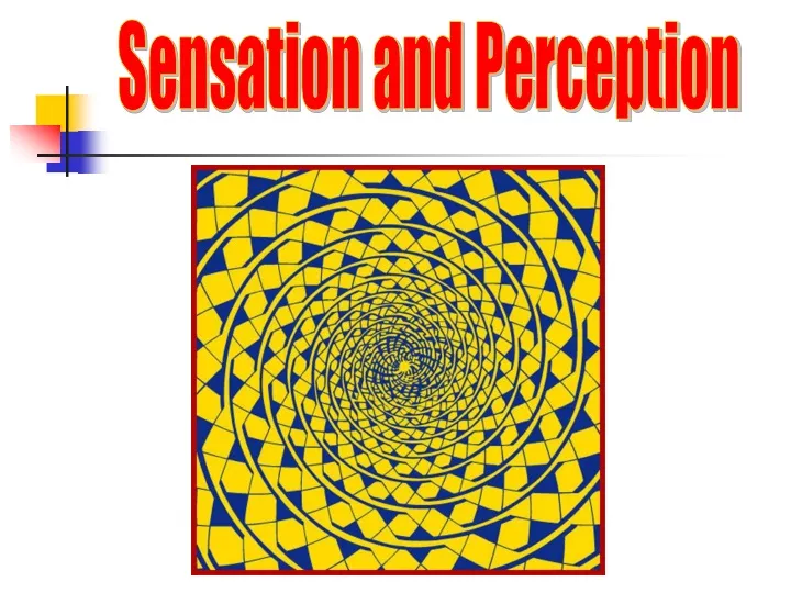 sensation and perception