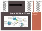Understanding DNA Replication Process in AP Biology - slide 1