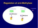 erm C - slide 1