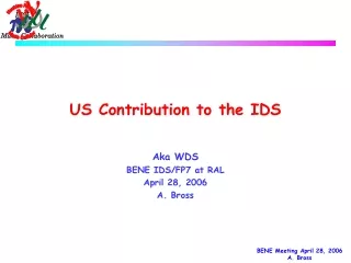 US Contribution to the IDS