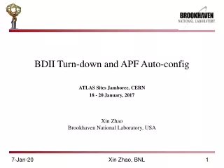 BDII Turn-down and APF Auto-config Xin Zhao Brookhaven National Laboratory, USA