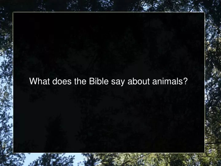 what does the bible say about animals