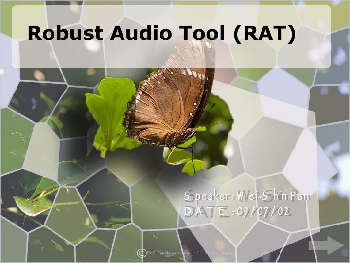 robust audio tool rat