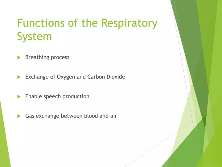 functions of the respiratory system