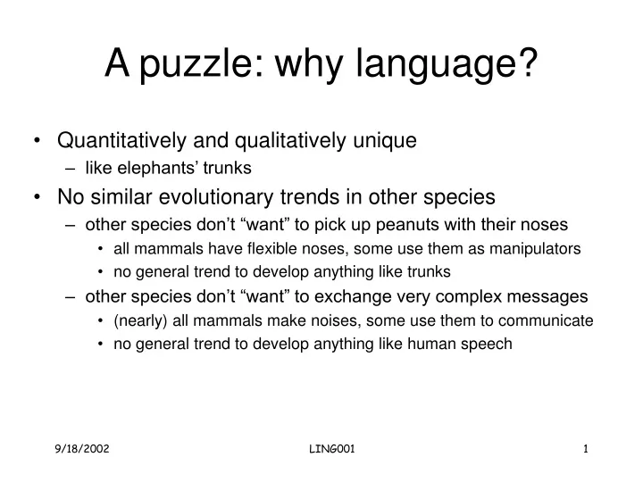 a puzzle why language