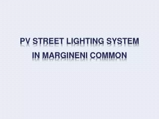 PV  STREET  LIGHTING SYSTEM  IN  MARGINENI  COMMON