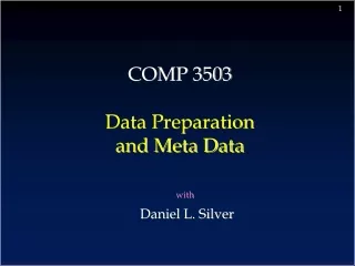 COMP 3503 Data Preparation  and Meta Data