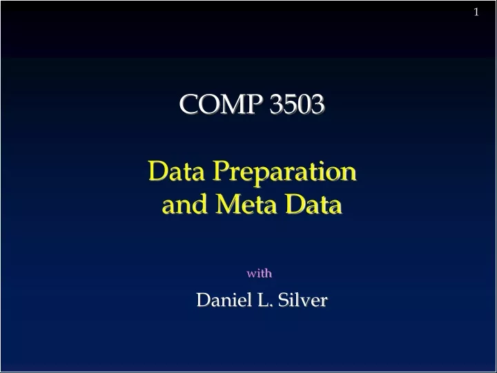 comp 3503 data preparation and meta data