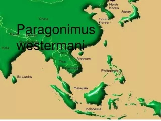 Paragonimus westermani