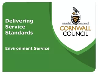 Delivering  Service  Standards  Environment Service