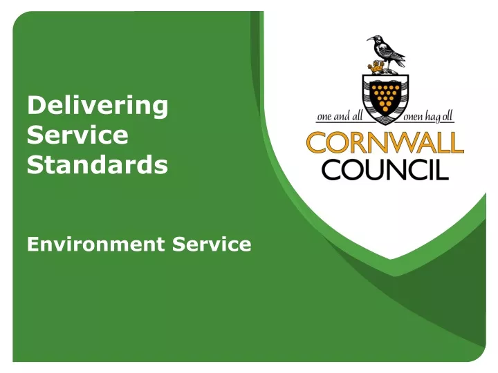 delivering service standards environment service