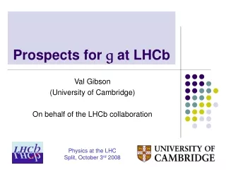 Prospects for  g  at LHCb