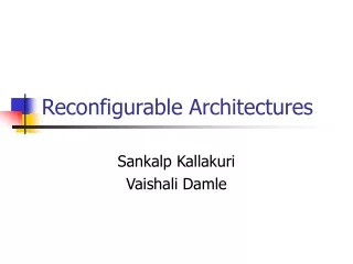 Reconfigurable Architectures