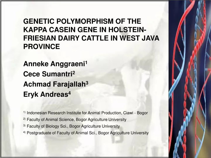 genetic polymorphism of the kappa casein gene