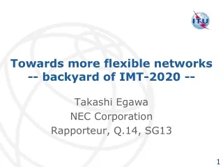 Towards more flexible networks -- backyard of IMT-2020 --