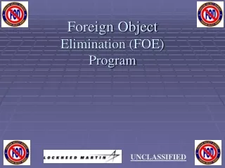 Foreign Object  Elimination (FOE) Program