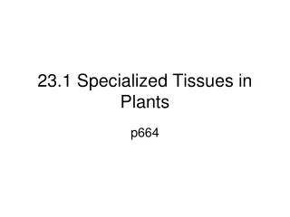23.1 Specialized Tissues in Plants