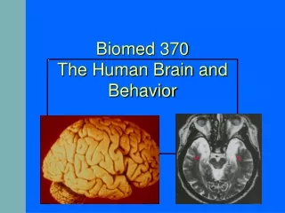 Biomed 370 The Human Brain and Behavior