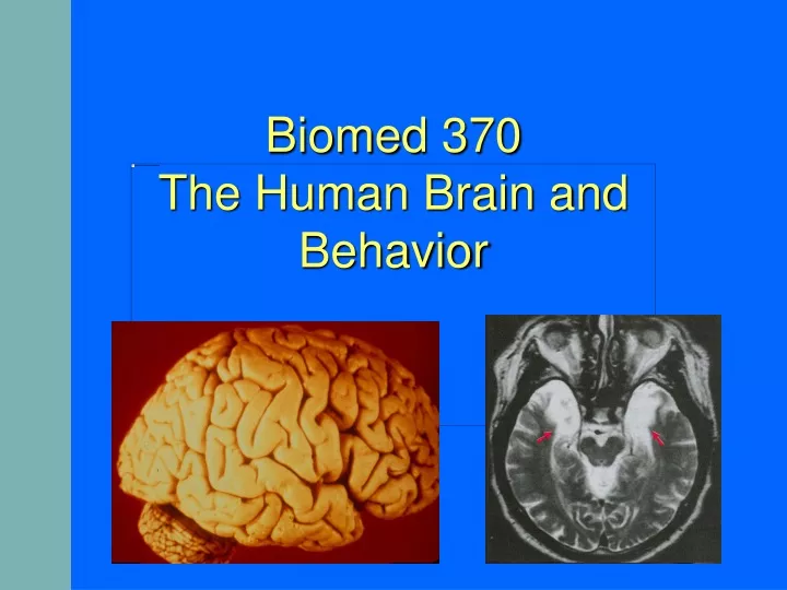 biomed 370 the human brain and behavior
