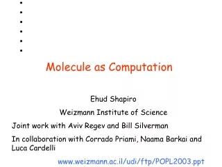 Molecule as Computation