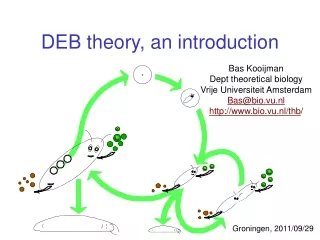 DEB theory, an introduction