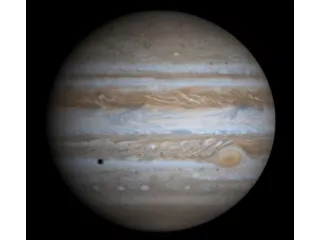 Jupiter is orbited by many moons.   The four largest  are called the  Galilean Moons .